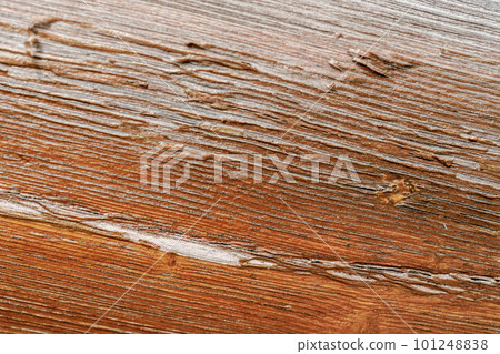 Natural background with the texture of an old shabby tree. 101248838