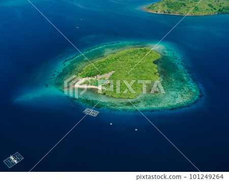 Aerial view with island in tropics and ocean with coral reef. 101249264
