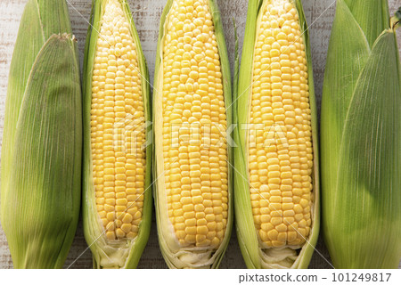 Corn Corn 101249817