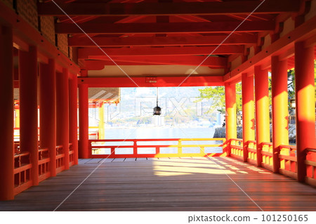 朝陽下的嚴島神社東走廊 101250165