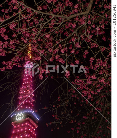 GUCCI illuminated Tokyo Tower and Kanhizakura GUCCI illuminated Tokyo Tower and Kanhizakura 101250943