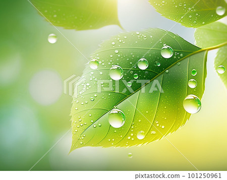清爽清新的綠色插畫背景素材 清爽清新的綠色插畫背景素材 101250961