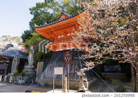 從君美寺看到的“和歌山縣”風景 / 君美寺 101250998