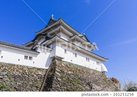 “和歌山縣”和歌山城和櫻花 101251256