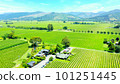 Beautiful countryside scenery 101251445