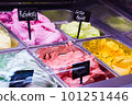 colorful gelato 101251446