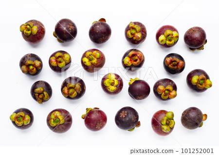 Mangosteen on white background. 101252001