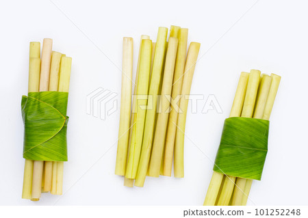 Lotus stem on white background. Lotus stem on white background. 101252248