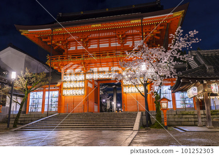 八坂神社南樓門櫻花盛開，夜晚燈火通明 101252303
