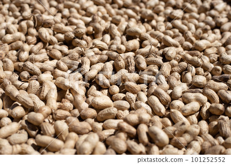 Raw peanuts in bamboo basket 101252552
