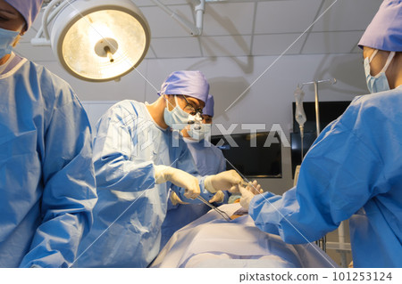 The medical team operated on the patient 101253124