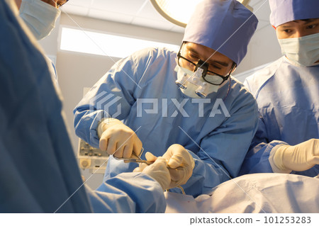 The medical team operated on the patient 101253283