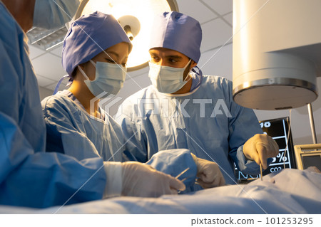 The medical team operated on the patient 101253295