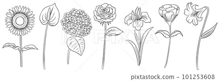 Line drawing summer flower set vector material 101253608