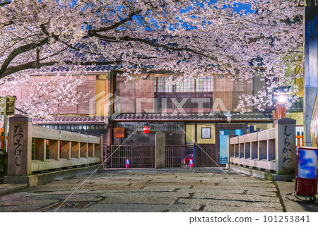 京都祗園白川辰橋櫻花盛開 101253841