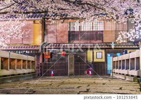 京都祗園白川辰橋櫻花盛開 101253845