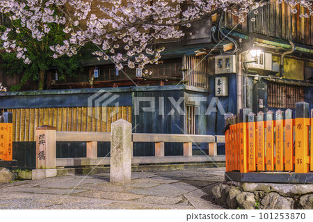 Cherry blossoms in full bloom at Tatsumibashi, Gion Shirakawa, Kyoto Cherry blossoms in full bloom at Tatsumibashi, Gion Shirakawa, Kyoto 101253870