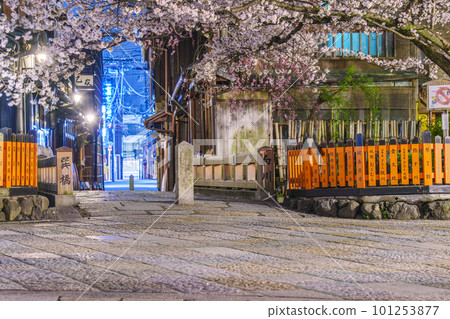 Cherry blossoms in full bloom at Tatsumibashi, Gion Shirakawa, Kyoto Cherry blossoms in full bloom at Tatsumibashi, Gion Shirakawa, Kyoto 101253877