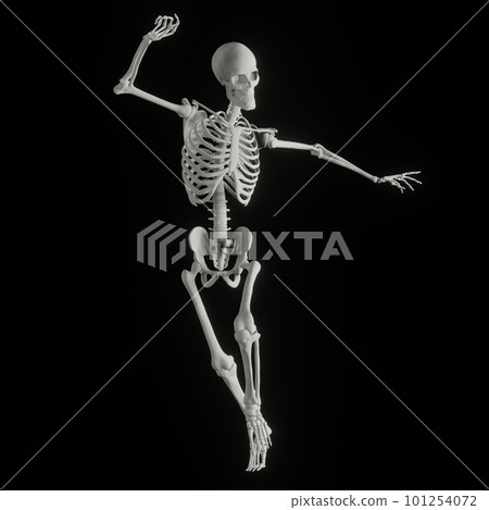 Human skeleton posing 101254072
