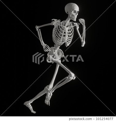 Human skeleton posing Human skeleton posing 101254077
