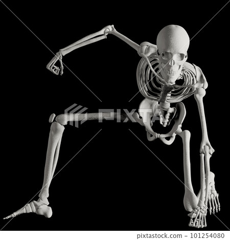 Human skeleton posing 101254080