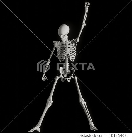Human skeleton posing Human skeleton posing 101254083
