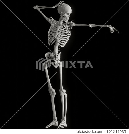 人體骨骼構成 101254085