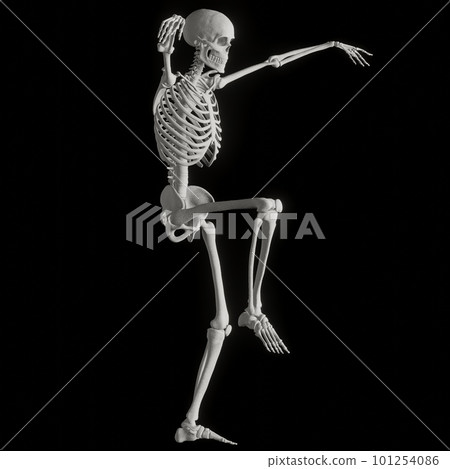 Human skeleton posing 101254086