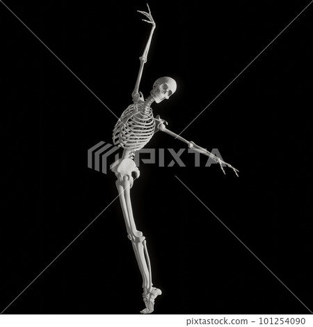 Human skeleton posing Human skeleton posing 101254090