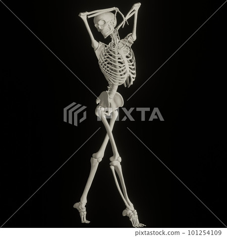Human skeleton posing Human skeleton posing 101254109