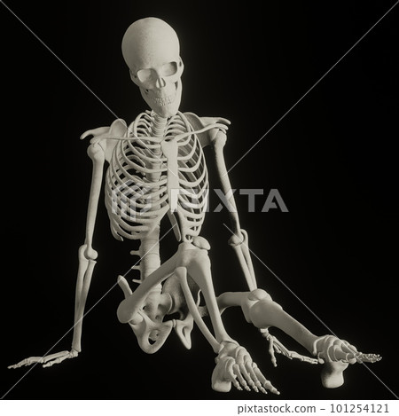 人體骨骼構成 101254121