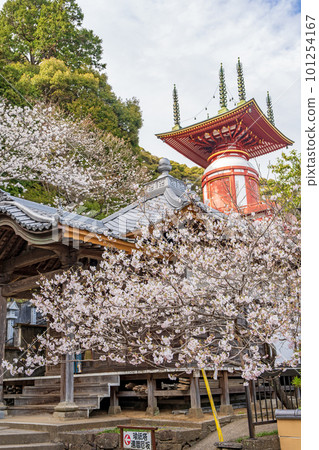 [No. 23 Fudasho] Spring Yakuoji Temple, Pilgrimage Tower [88 places in Shikoku] 101254167