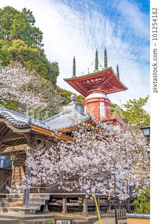 [No. 23 Fudasho] Spring Yakuoji Temple, Pilgrimage Tower [88 places in Shikoku] 101254182