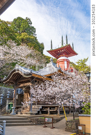[No. 23 Fudasho] Spring Yakuoji Temple, Pilgrimage Tower [88 places in Shikoku] 101254183