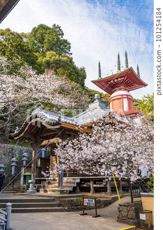 【23號不動所】春藥王寺、朝聖塔【四國88處】 101254184
