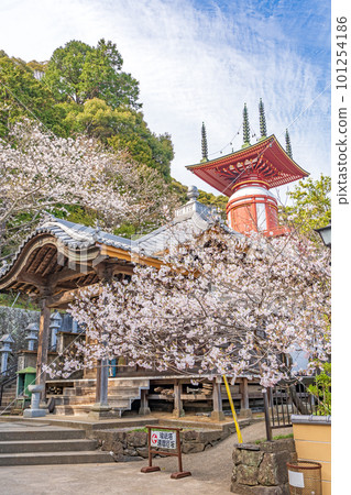 【23號不動所】春藥王寺、朝聖塔【四國88處】 【23號不動所】春藥王寺、朝聖塔【四國88處】 101254186