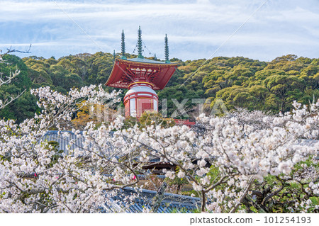 [No. 23 Fudasho] Spring Yakuoji Temple, Pilgrimage Tower [88 places in Shikoku] 101254193