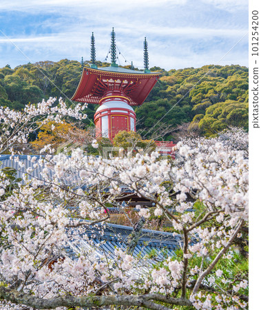[No. 23 Fudasho] Spring Yakuoji Temple, Pilgrimage Tower [88 places in Shikoku] 101254200