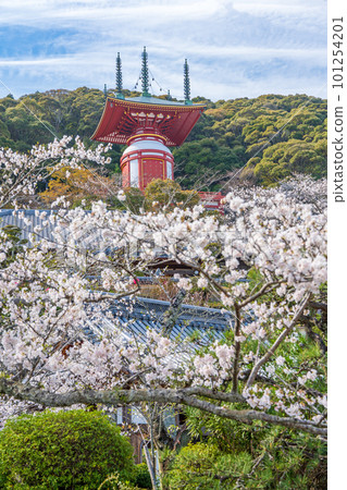 [No. 23 Fudasho] Spring Yakuoji Temple, Pilgrimage Tower [88 places in Shikoku] 101254201
