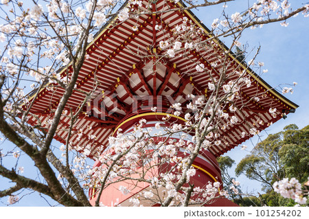 [No. 23 Fudasho] Spring Yakuoji Temple, Pilgrimage Tower [88 places in Shikoku] 101254202