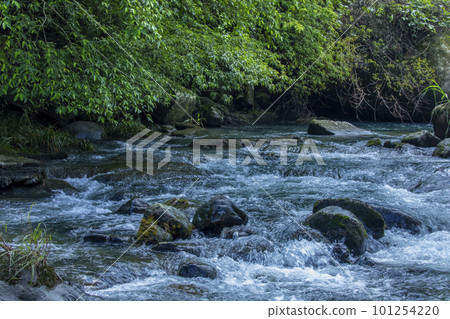 翠綠的水流，清涼，透徹，山泉，台灣，エメラルドグリーンの水、清涼、極上、山泉、台湾、Taiwan 101254220