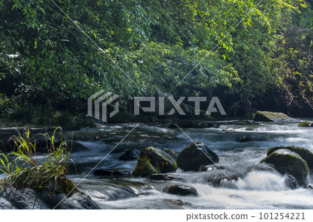 翠綠的水流，清涼，透徹，山泉，台灣，エメラルドグリーンの水、清涼、極上、山泉、台湾、Taiwan 101254221