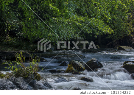 翠綠的水流，清涼，透徹，山泉，台灣，エメラルドグリーンの水、清涼、極上、山泉、台湾、Taiwan 101254222