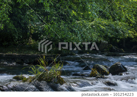 翠綠的水流，清涼，透徹，山泉，台灣，エメラルドグリーンの水、清涼、極上、山泉、台湾、Taiwan 101254223