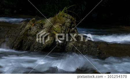 谷、小川、エメラルドの小川、台湾、山谷，水流，翠綠的水流，台灣，Valleys, streams, 101254370