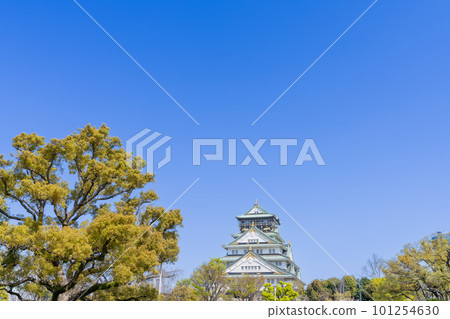《大阪府》櫻花盛開的大阪城和天守閣 101254630