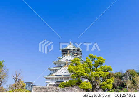 《大阪府》櫻花盛開的大阪城和天守閣 101254631
