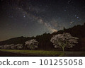 The Milky Way rising over Sakura Hill 101255058