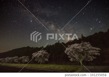 The Milky Way rising over Sakura Hill 101255058