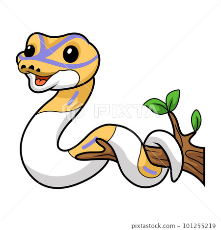 Cute banana pied ball python cartoon on tree branch Cute banana pied ball python cartoon on tree branch 101255219